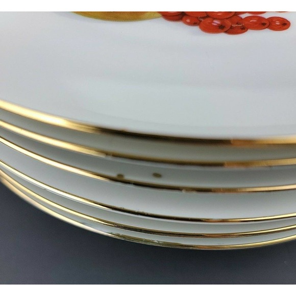 Bareuther Waldsassen Bavaria Germany Fruit Dessert Vintage Plates 6 Assorted 7in - Picture 12 of 12